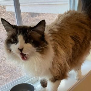 Meet your Posher, Bayanne